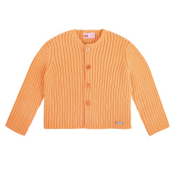 Gilet côtelé PECHE
