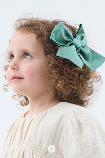 ACCESSORI